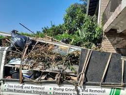 Best Estate Cleanout  in Watauga, TX